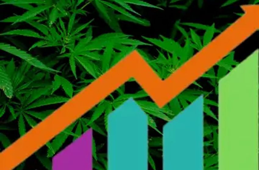 Epidiolex Counterpart Debuts In Brazil’s Cannabis Market As Its Maker Eyes TSX IPO
