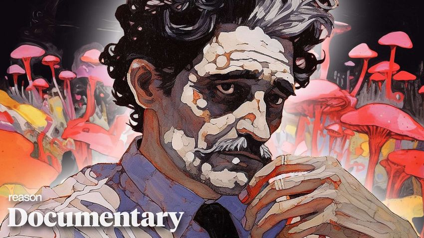  The Psychedelic Renaissance Is Here