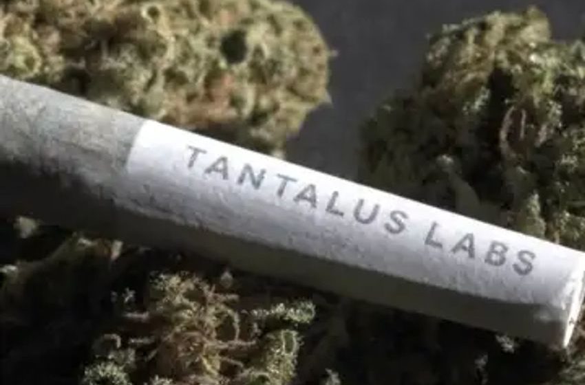  Cannabis company Atlantic Cultivation acquires insolvent Tantalus Labs brand