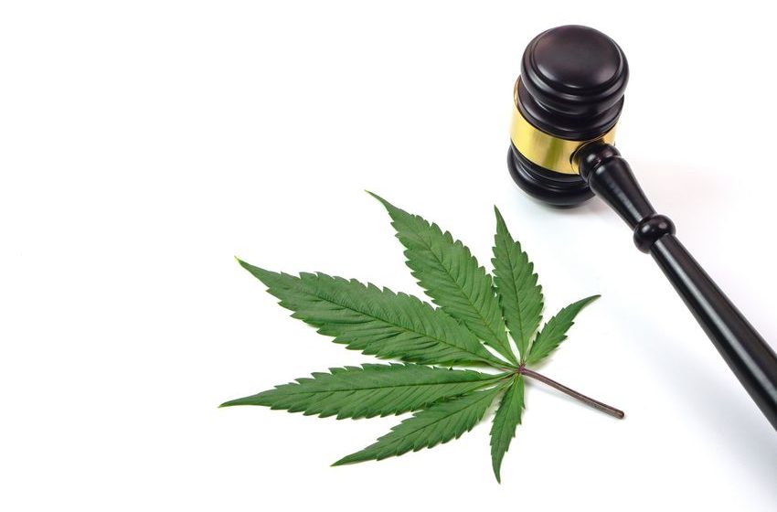  New School Year, Same Concerns Around Underage Cannabis Use