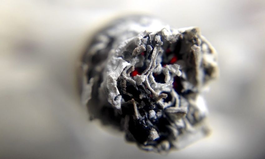  Let’s Dispel The Myth That Cannabis And Tobacco Smoke Are Equally Hazardous To Health (Op-Ed)