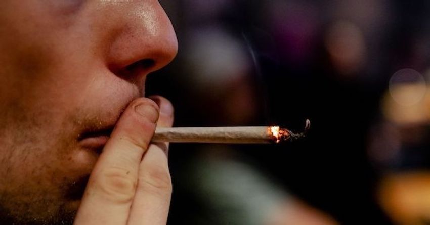  Poll: High Percentage of Americans Have Tried Marijuana; Democrat Men Lead the Way