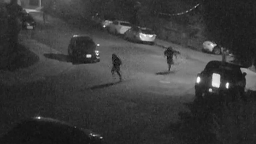 Tech executive’s brutal kidnapping caught on surveillance video