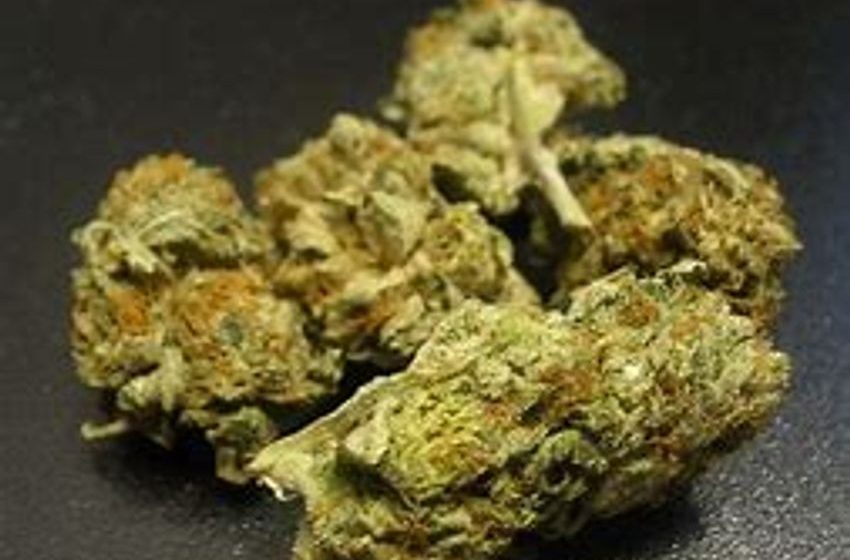  The Battle Over Marijuana and How to Win It