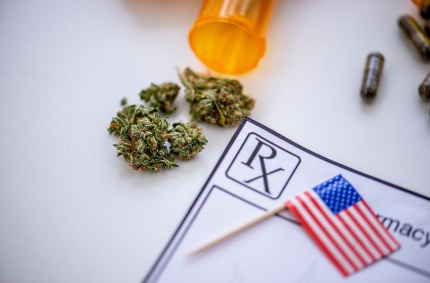  Marijuana consumers less likely to develop diabetes, study