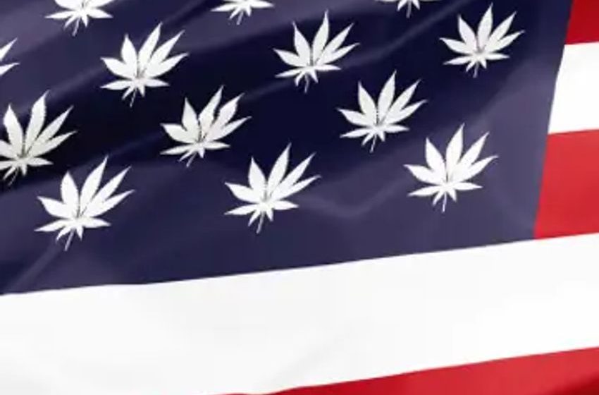 Cannabis stocks get boost from good news out of the Biden administration
