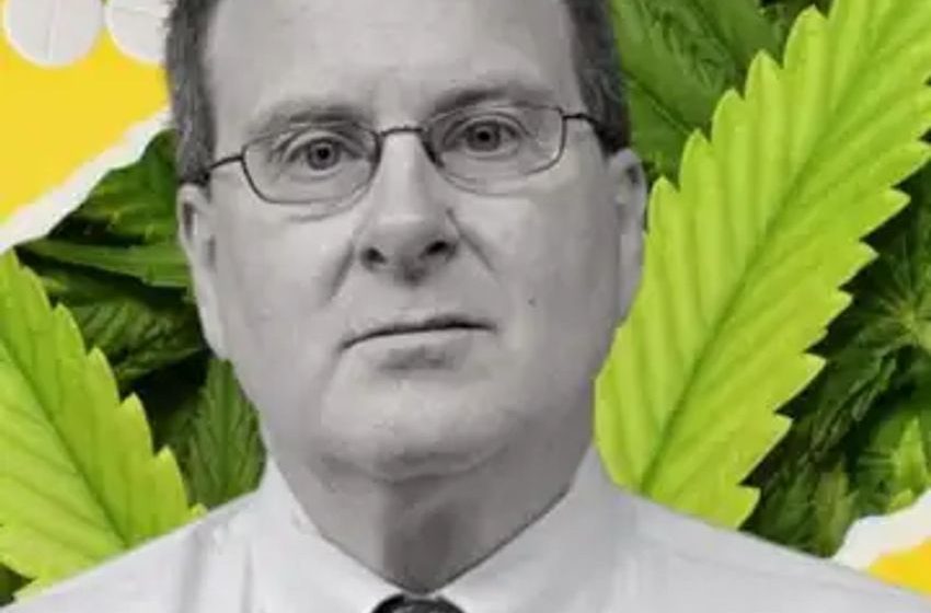  Harvard Doctor Shatters Taboos: ‘People Can Use Cannabis Instead Of Opioids For Pain’