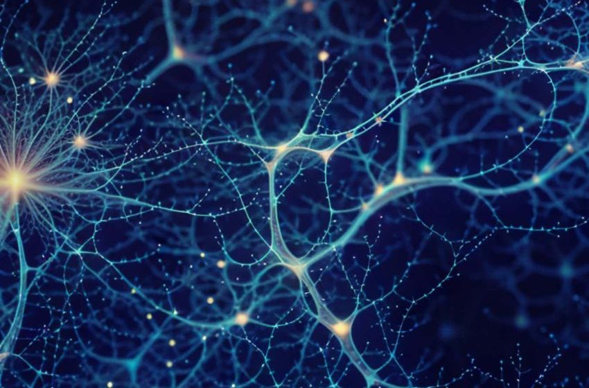  Mysteries of the endocannabinoid system and how we’re unravelling them