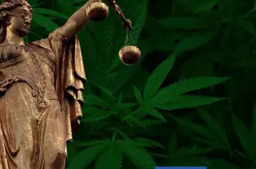 New York Awards $75K To Bronx Mom After Officials Illegally Took Away Her Baby For Cannabis Use