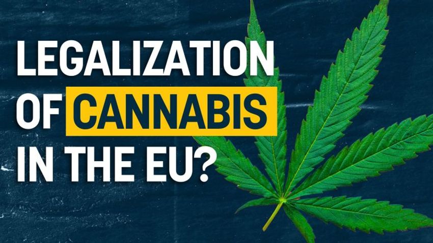 Is the EU a step closer to legalizing cannabis?