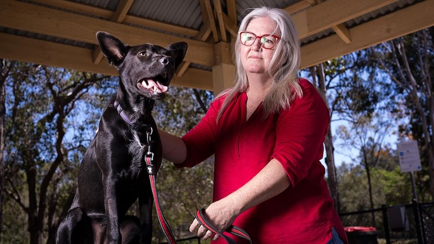 Violet the kelpie nearly died from a violent high after eating marijuana at a dog park