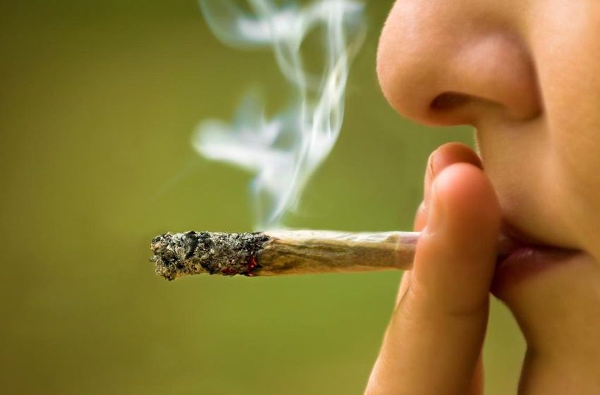  Weed makes you crazy and gives you heart disease. Why’s it legal?
