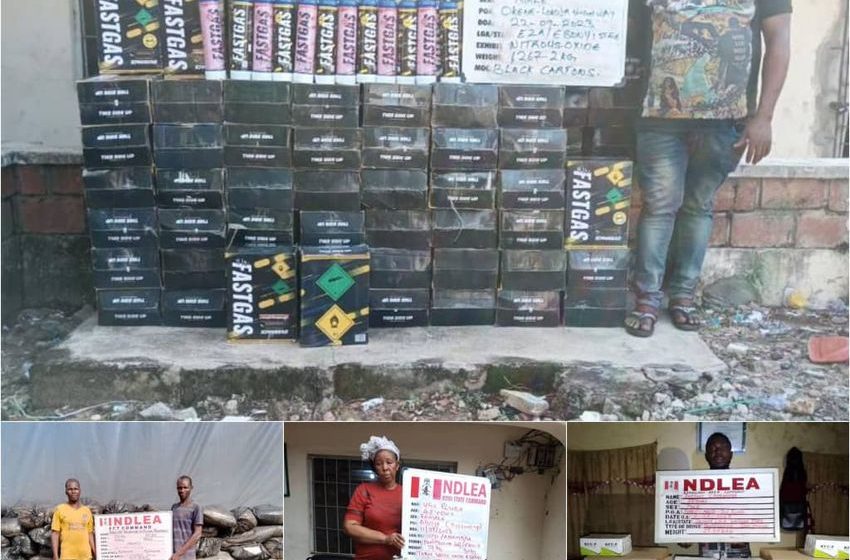  NDLEA destroys 16 hectares cannabis farm