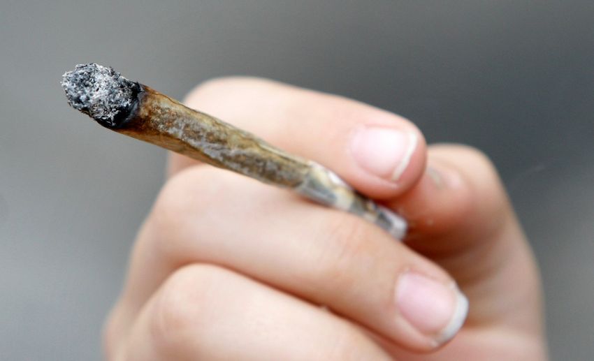  Cannabis addiction may be linked to increased risk of cardiovascular disease, heart attacks: study
