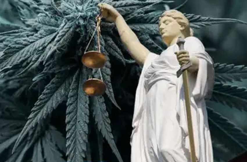  Medella LLC Files Defamation Lawsuit Against Alabama Medical Cannabis Commission
