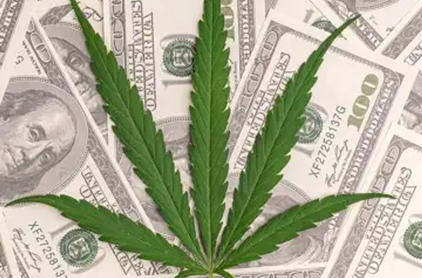  In Michigan, $276 Million in Legal Marijuana Purchased in August, Over $40 Million in Taxes Garnered