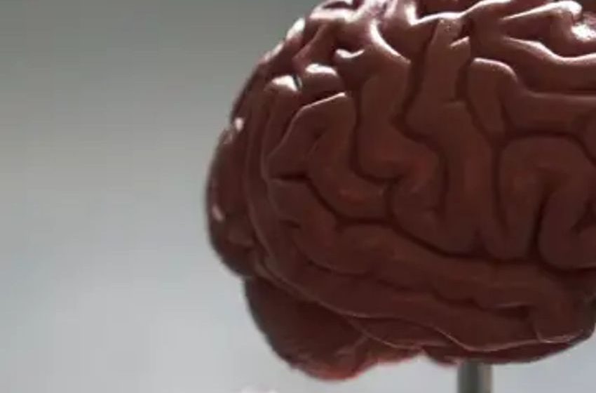  Does Smoking Weed Kill Your Brain Cells?