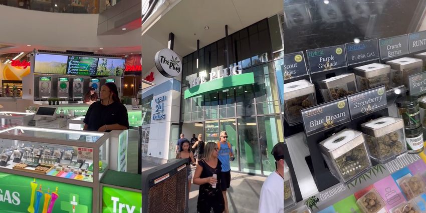  ‘This Las Vegas scam and hustle is huge and it’s designed to get tourists’: Travel expert warns about fake marijuana dispensaries on Strip