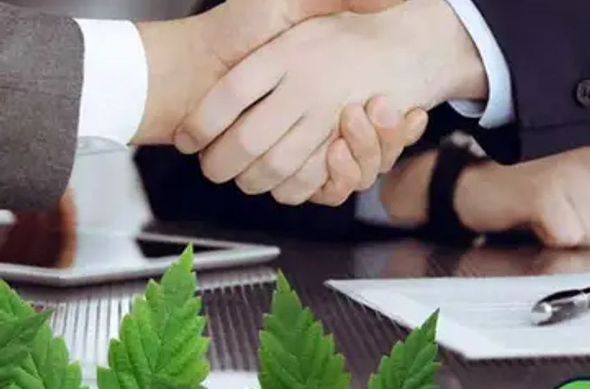 New Cannabis Industry Player Gets Into The Game As Another Weed Business Rethinks Strategy