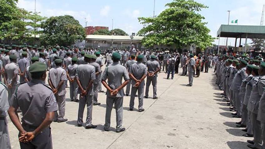  Customs intercepts 259kg Indian hemp in Oyo