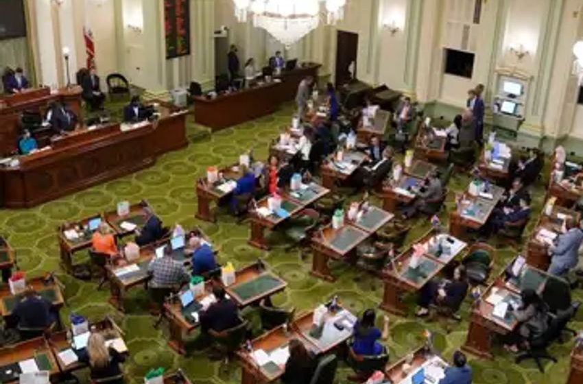  Guns, water, bathrooms, schoolbooks, weed cafes, magic mushroom bills head to Gov. Newsom’s desk