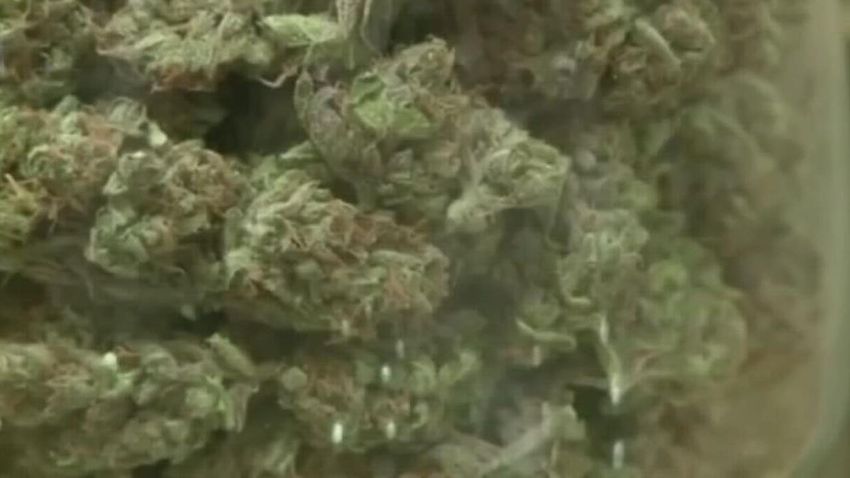  Arts, Beats & Eats to have cannabis consumption area at this year’s Royal Oak festival