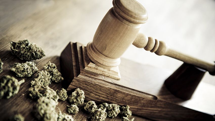  35 Years Ago Today: DEA’s Chief Administrative Law Judge Ruled That Cannabis Should Be Reclassified Under Federal Law