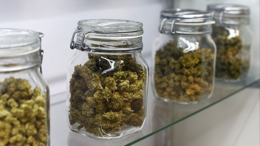 Time to Get High on Pot Stocks? (3 Catalysts)