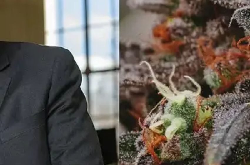  Schumer Petitions For Federal Marijuana Legalization Amid Progress On Cannabis Banking Bill