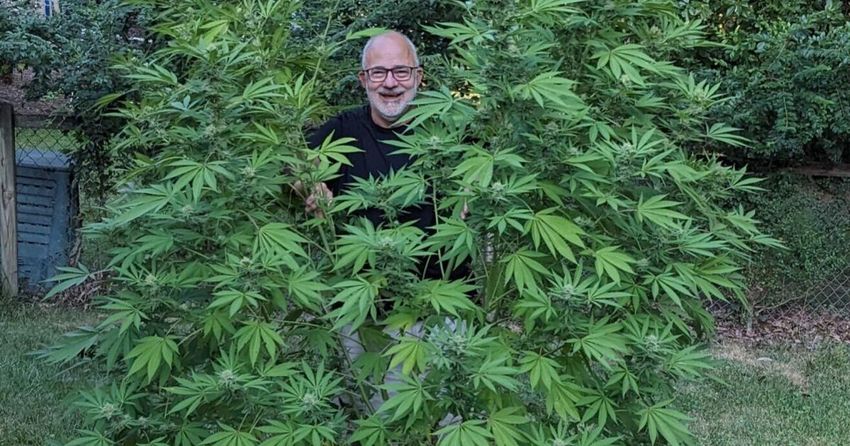  CASEY: Roanoke College ‘Marijuana Maroons’ wins the 2023 weed-growing contest