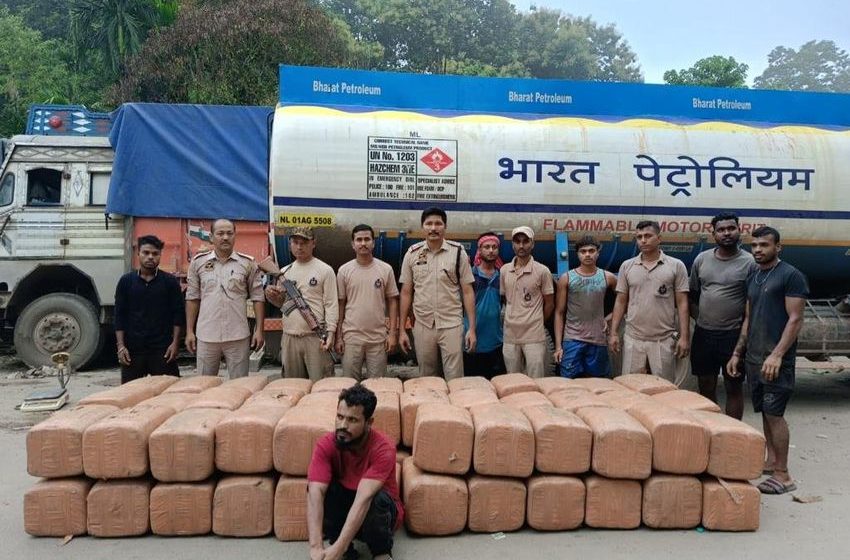  Huge stash of cannabis seized in Karimganj