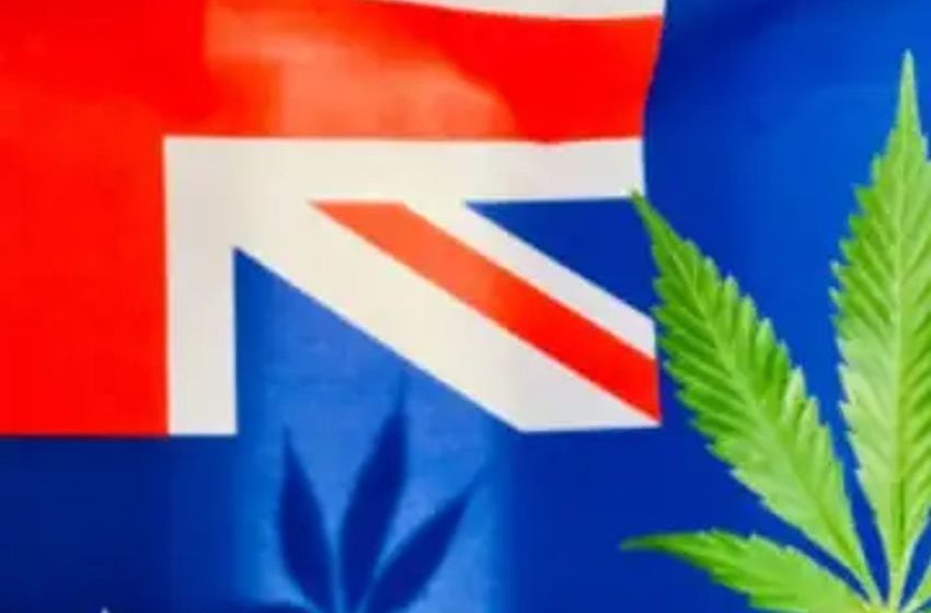  Medical Cannabis Offers Hope To Australians With Chronic Conditions, New Study Reveals
