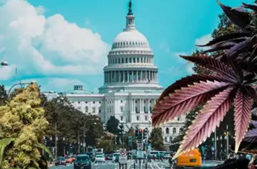  Senate Banking Committee Confirms: No Vote On Cannabis Banking Bill Next Week