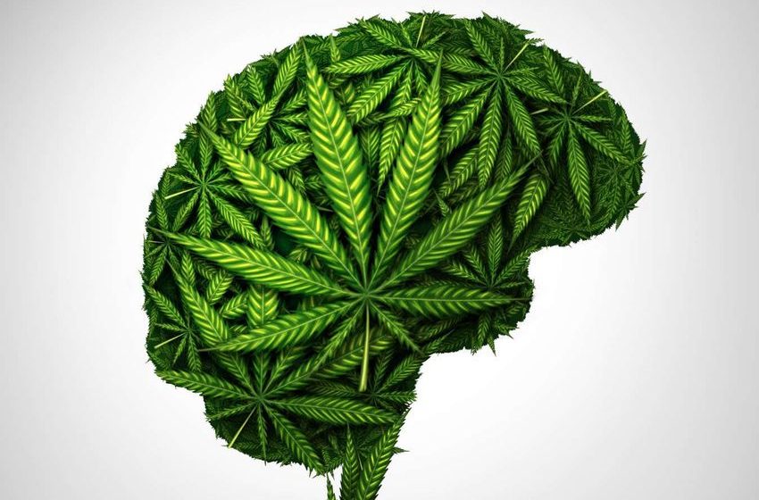  Cannabis for medical use is soaring but the research is lagging behind