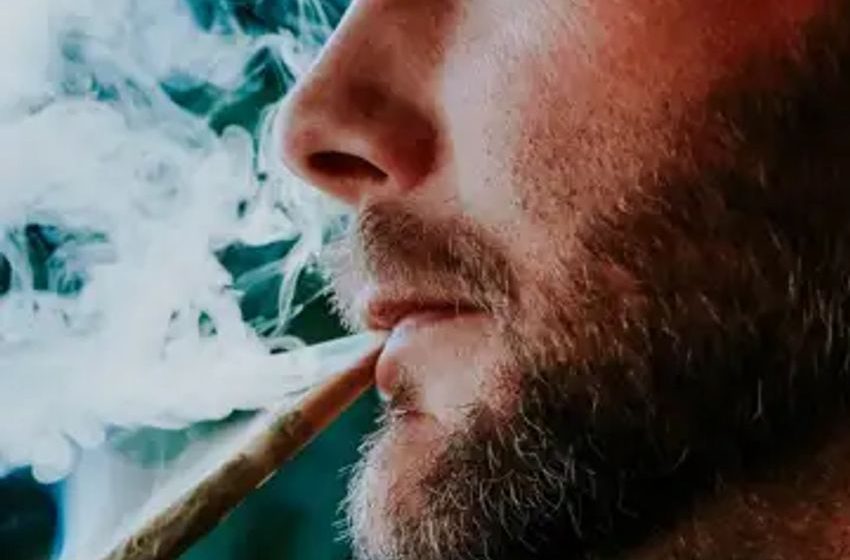  Men’s Marijuana Use And Pregnancy: Is Weed A Silent Trigger For Miscarriages?