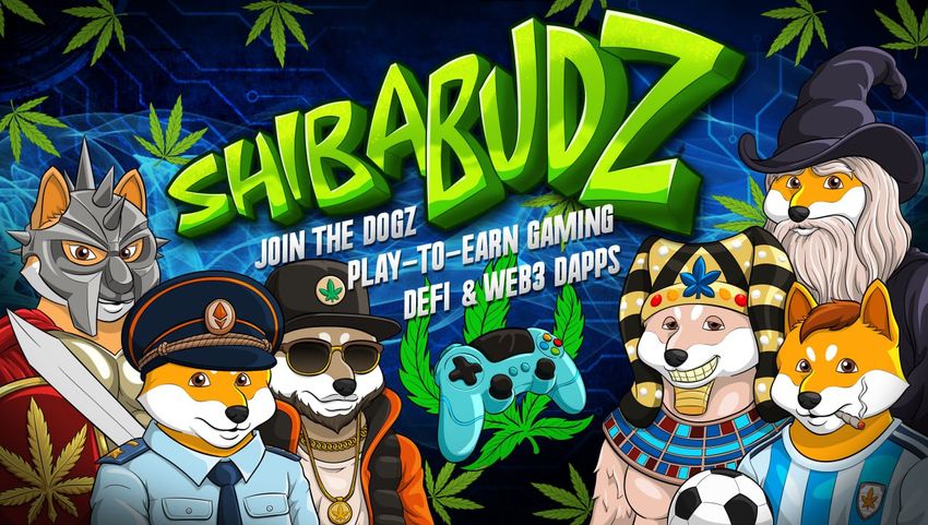  Let’s Compare KuCoin Token (KCS) and eCash (XEC) to Shiba Budz (BUDZ)