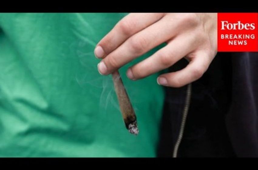  Marijuana May Be Rescheduled As A Less Dangerous Drug
