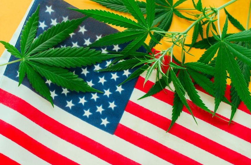 It’s Time to Legalize Marijuana. It’s What Majorities of Democrats and Republicans Want | Opinion
