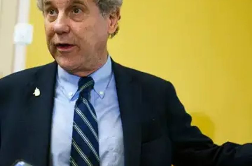  Senators push to pass cannabis banking bill after marijuana rescheduling