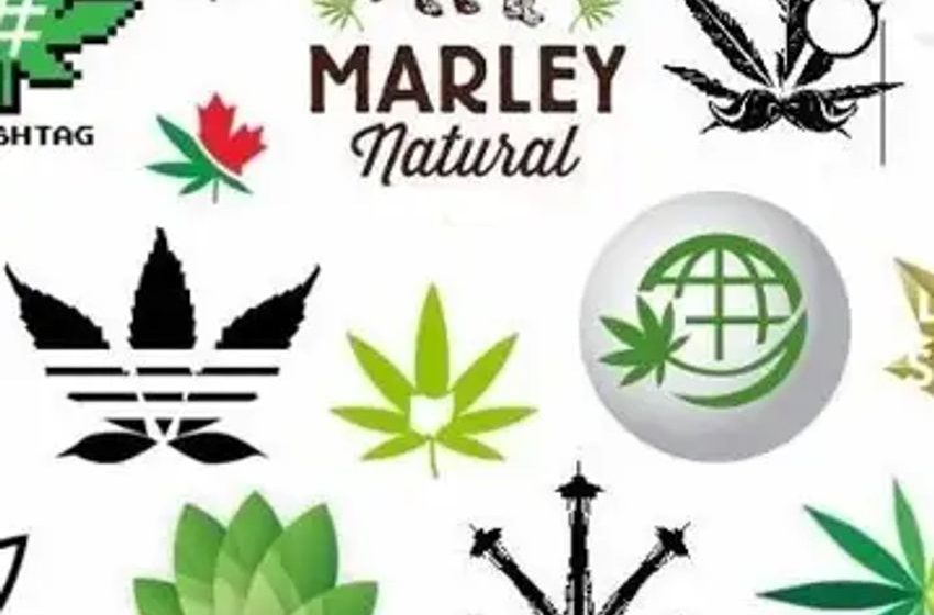  From Underground To Mainstream: Journey Through Evolution Of Cannabis Brands At Conference