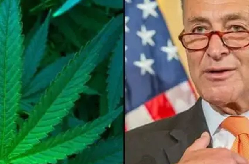  Schumer Commits To Bring Newly Revised Marijuana Banking Bill To The Floor With Cannabis Expungements And Gun Rights Amendments