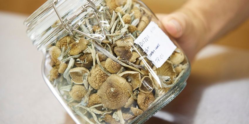 Oregon launches legal psilocybin access amid high demand and hopes for improved mental health care