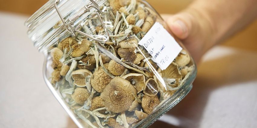  Oregon launches legal psilocybin access amid high demand and hopes for improved mental health care