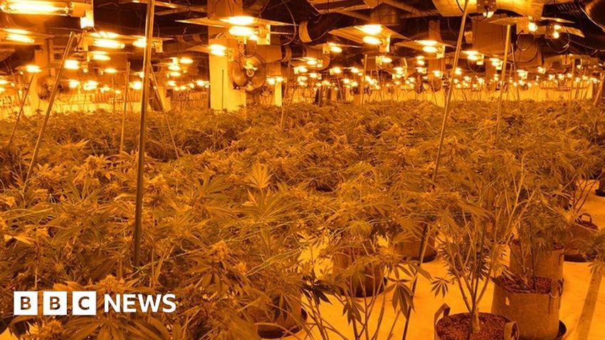  Buxton: Cannabis factory found at former M&S store