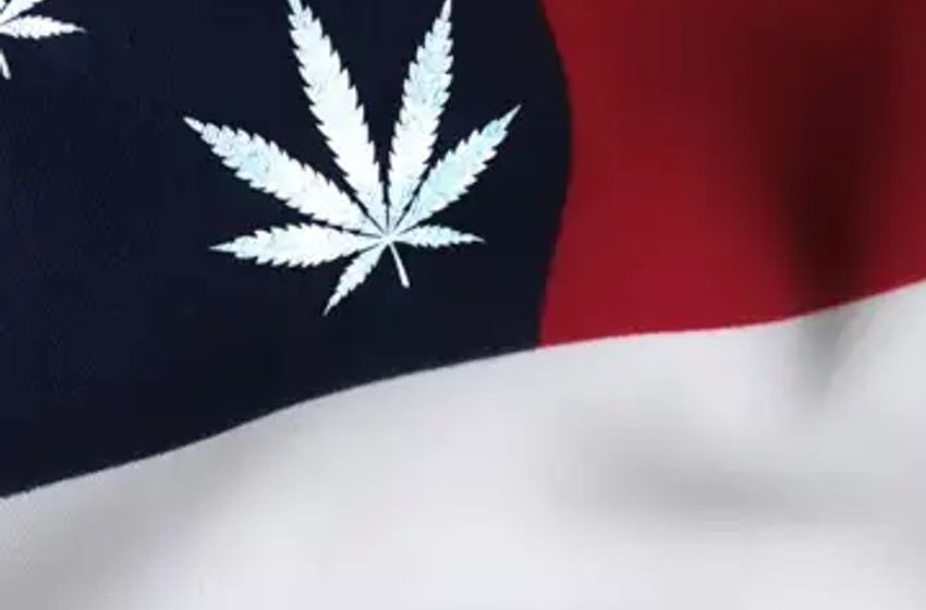  One of the cannabis industry’s major opponents reemerged this week