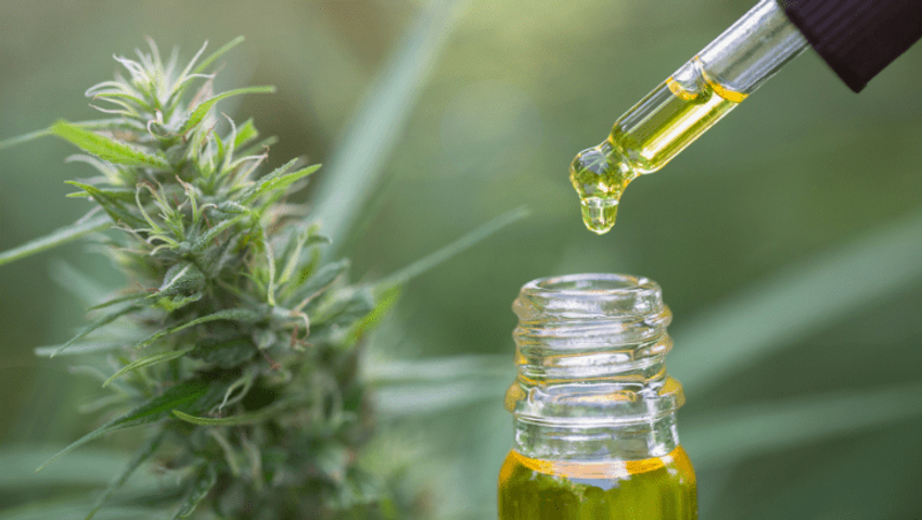  Study: Cannabis Oil Extracts Associated With Sustained Improvements in Patients With Chronic Health Conditions