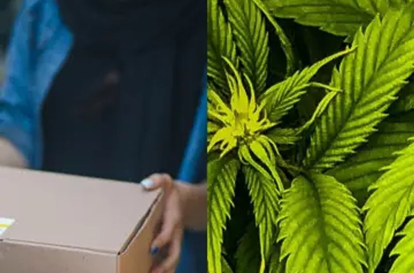  Nabis Partenrs With California Cannabis Delivery Giant Eaze