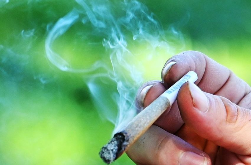  Cannabis Control Commissioners butt heads over acting pot chair role