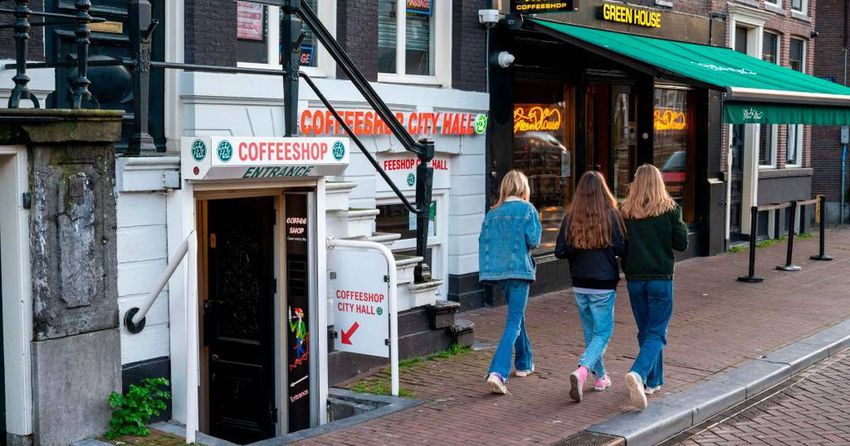  Coffee shops to source cannabis legally in the Netherlands under pilot scheme