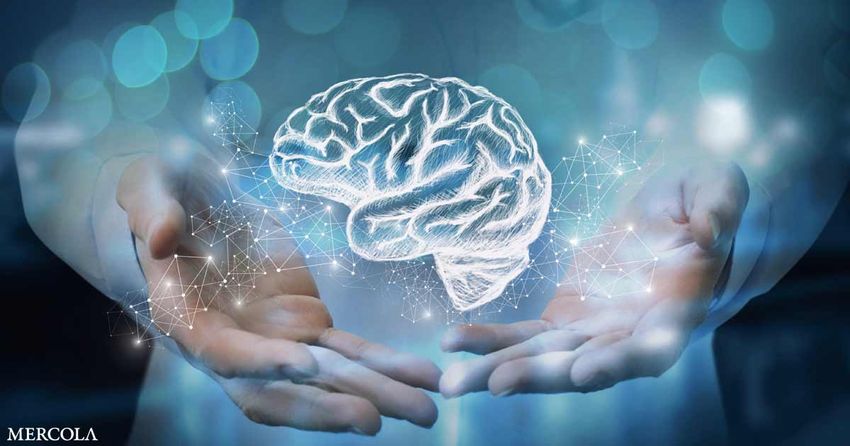  10 Things to Do Daily to Help Your Brain